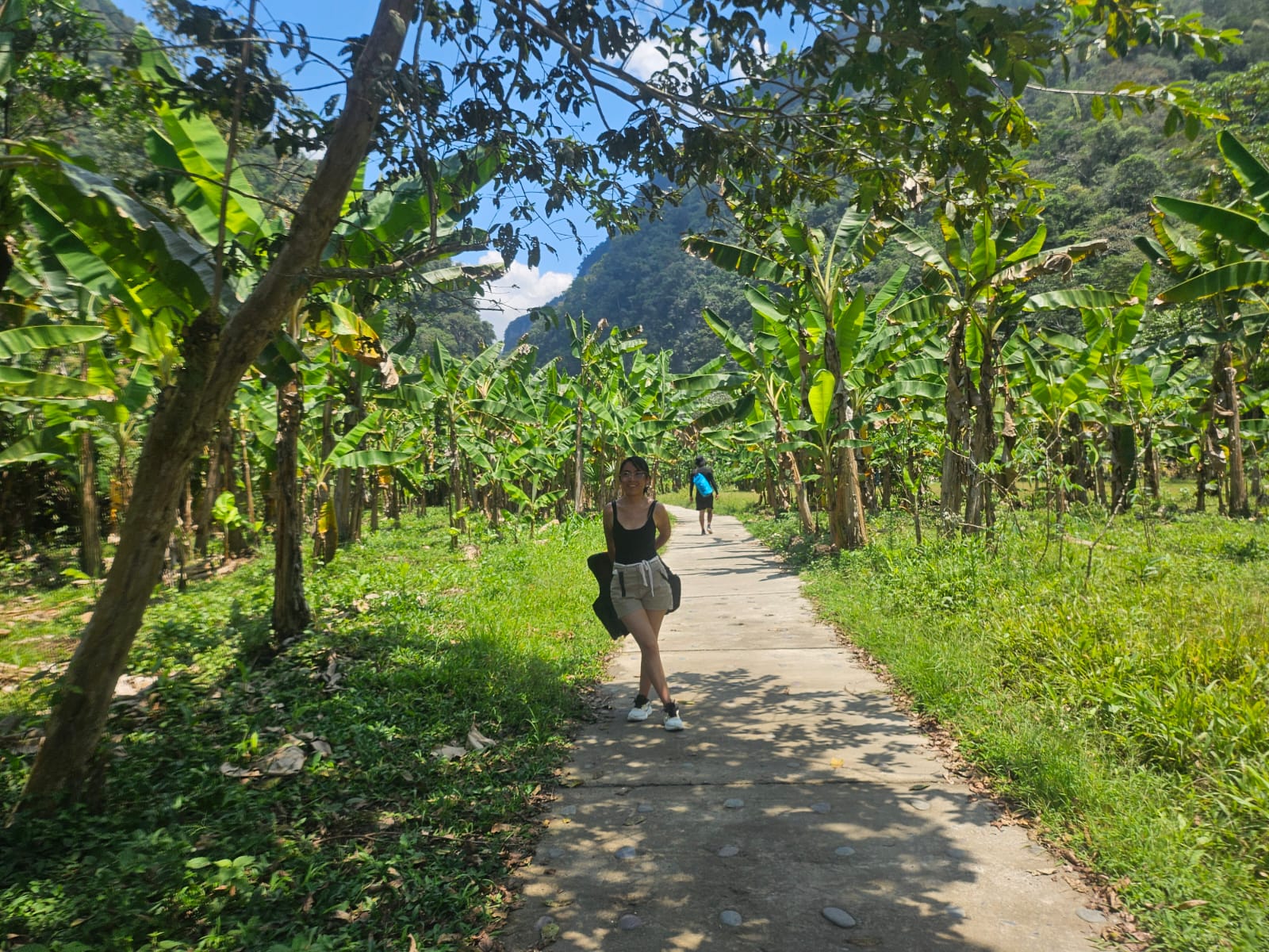 Dehiny en un camino entre árboles y naturaleza