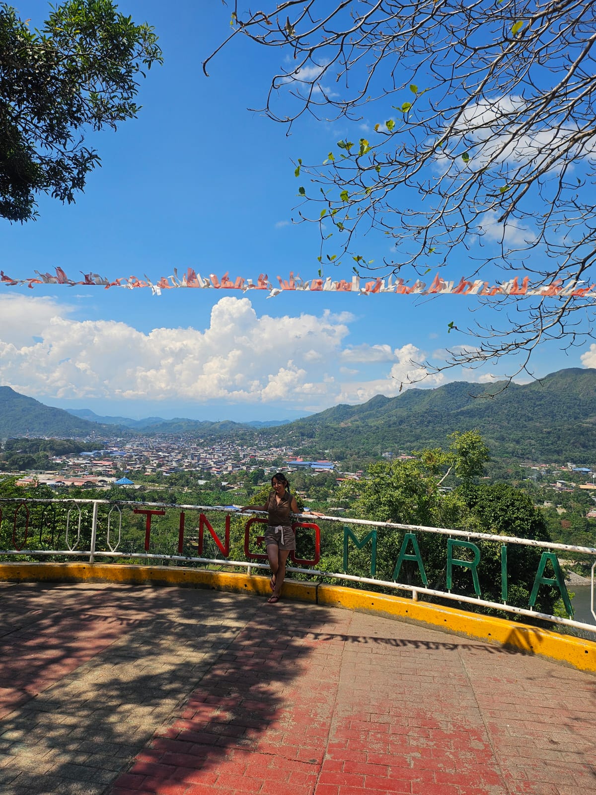 Dehiny con una vista panorámica de una ciudad y montañas